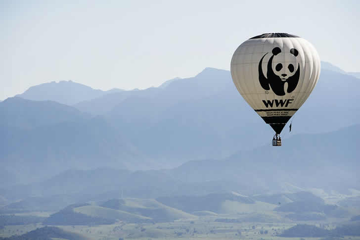 Guide to Promoting Biodiversity through Sustainable Practices