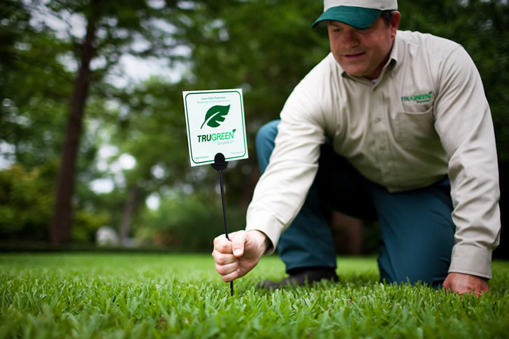 Essential Lawn Care Services Every Homeowner Should Know