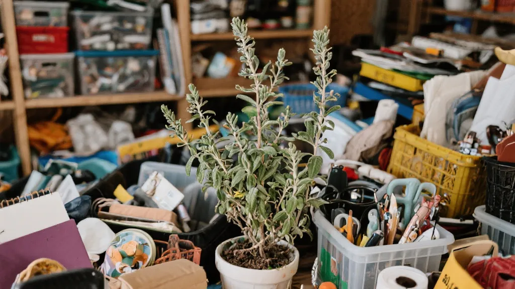 The Comprehensive Guide to Sage Cte